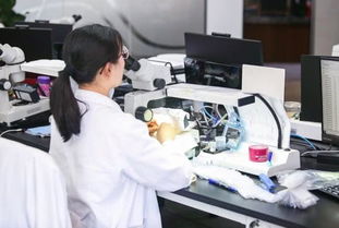 品牌缺位、真?zhèn)坞y辨、款式單一 珠寶業(yè)觸網(wǎng)求變，供應鏈是關鍵突破口